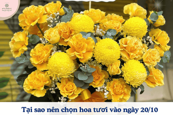 Bắt Trend Hoa 2010 Hot Nhất Năm Nay 2025